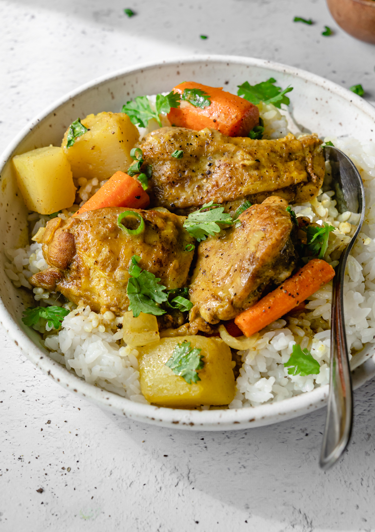 Bowl of rice with chicken curry and spoon