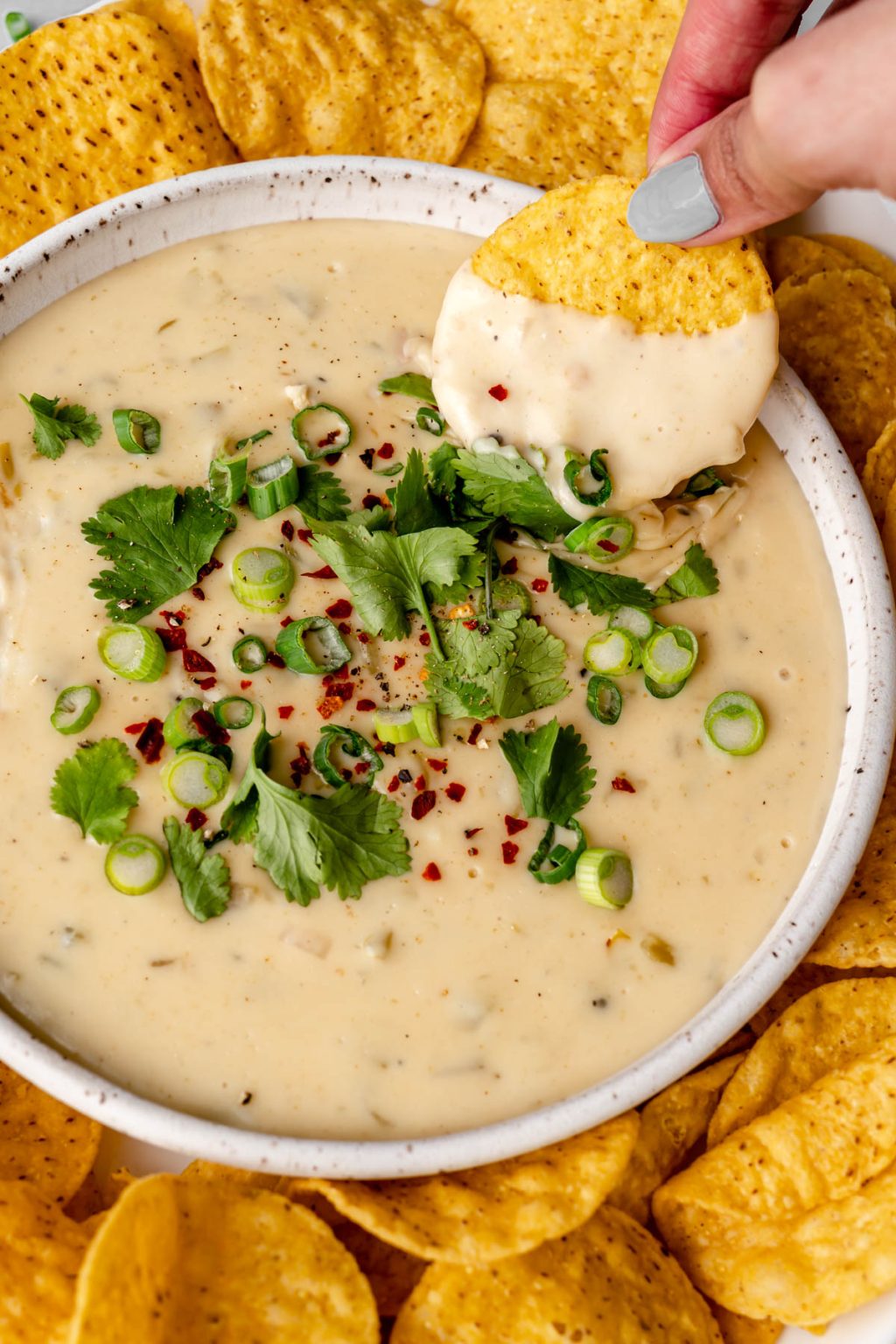 Monterey Jack Queso Balance With Jess